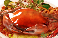 吃螃蟹后嘔吐怎么辦？吃螃蟹嘔吐吃什么藥？