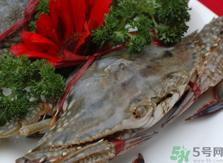 梭子蟹多少錢一斤？梭子蟹多少錢一只？