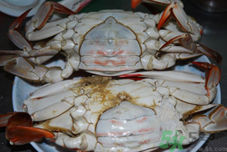 梭子蟹怎么洗？冷凍梭子蟹怎么洗？