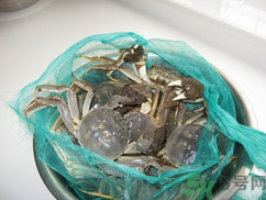 梭子蟹怎么保存？活的梭子蟹怎么保存？