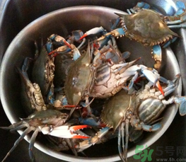 梭子蟹怎么保存？活的梭子蟹怎么保存？