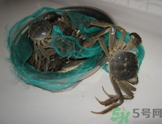 梭子蟹怎么保存？活的梭子蟹怎么保存？