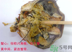 梭子蟹哪些部位不能吃？梭子蟹哪些人不能吃？