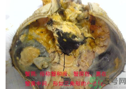 梭子蟹哪些部位不能吃？梭子蟹哪些人不能吃？