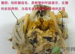 梭子蟹哪些部位不能吃？梭子蟹哪些人不能吃？