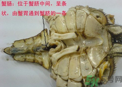 梭子蟹哪些部位不能吃？梭子蟹哪些人不能吃？