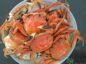 大閘蟹公的好還是母的好？大閘蟹怎么分辨公母？