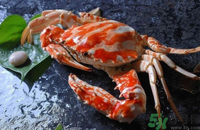 大閘蟹公的好還是母的好？大閘蟹怎么分辨公母？