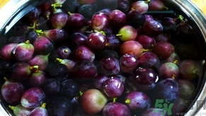 葡萄可以用鹽水泡嗎?為什么葡萄要放鹽水里泡? 葡萄可以用鹽水泡嗎?為什么葡萄要放鹽水里泡?