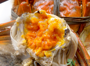 吃蟹黃有什么好處？如何挑選蟹黃多的螃蟹？