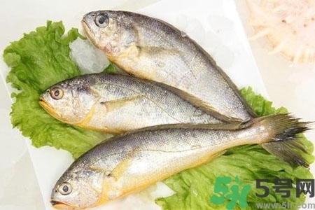 秋季適合吃什么魚？秋季吃魚的好處？