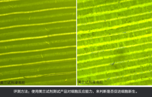sk2大眼眼霜怎么樣？sk2大眼眼霜好用嗎？