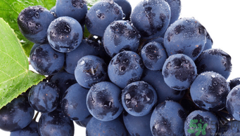 巨峰葡萄吃多了好嗎？食用巨峰葡萄的注意事項