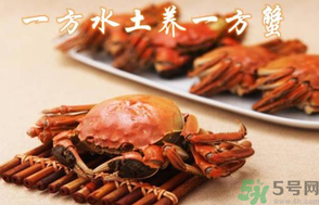 盤錦河蟹和陽澄湖大閘蟹的區(qū)別？盤錦河蟹和陽澄湖大閘蟹哪個(gè)比較好吃？