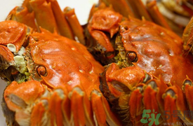 盤錦河蟹和陽澄湖大閘蟹的區(qū)別？盤錦河蟹和陽澄湖大閘蟹哪個(gè)比較好吃？