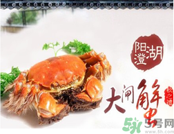 陽澄湖大閘蟹為什么出名？陽澄湖大閘蟹出名的原因