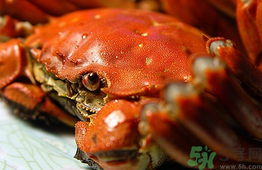 陽澄湖大閘蟹和普通大閘蟹的區(qū)別？陽澄湖大閘蟹比普通大閘蟹好在哪里？