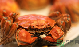 陽澄湖大閘蟹和普通大閘蟹的區(qū)別？陽澄湖大閘蟹比普通大閘蟹好在哪里？