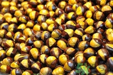 栗子怎么去殼？栗子怎么去皮？