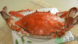 河蟹和海蟹有什么區(qū)別？河蟹和海蟹哪個好吃？