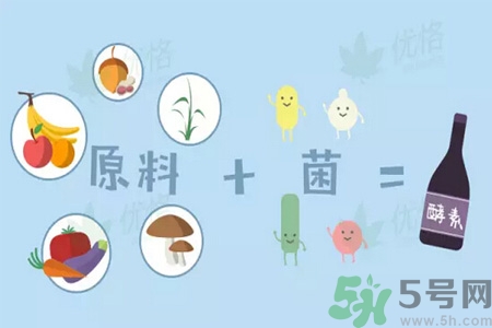 酵素是什么？吃酵素減肥有效果嗎？