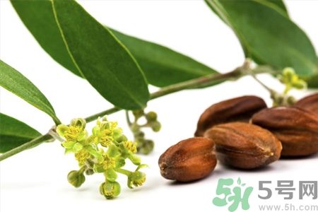 荷荷巴油可以直接擦臉嗎？荷荷巴油怎么去黑頭？