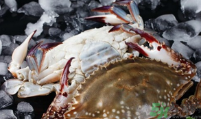 梭子蟹怎么挑選？梭子蟹挑選圖解