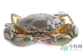 梭子蟹能冷凍嗎？梭子蟹如何冷凍保存？