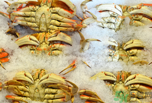 冷凍的梭子蟹能吃嗎？冷凍的梭子蟹怎么吃比較好？