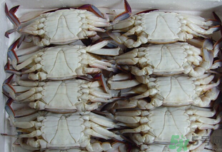 冷凍的梭子蟹能吃嗎？冷凍的梭子蟹怎么吃比較好？