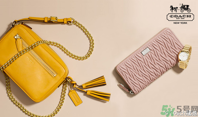 coach是什么牌子？coach包包一般多少錢？