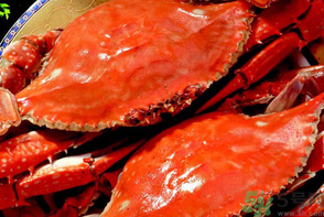 梭子蟹是發(fā)物嗎？梭子蟹是不是發(fā)物？