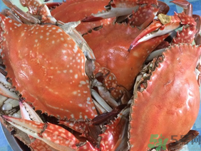 梭子蟹是發(fā)物嗎？梭子蟹是不是發(fā)物？