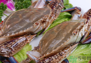 梭子蟹是發(fā)物嗎？梭子蟹是不是發(fā)物？