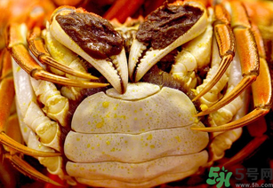 河蟹死了一天能吃嗎？河蟹死了多久不能吃？