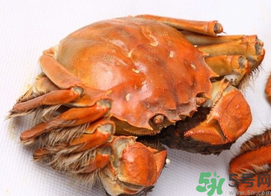 河蟹死了一天能吃嗎？河蟹死了多久不能吃？