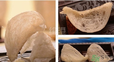 去香港買燕窩哪里好？香港哪里買燕窩比較好正宗？