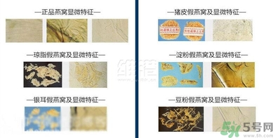 去香港買燕窩哪里好？香港哪里買燕窩比較好正宗？