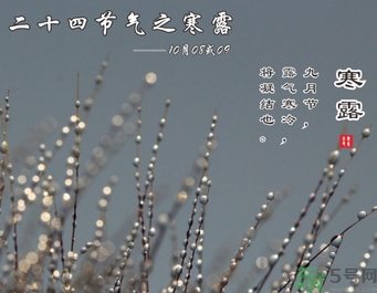 寒露是什么意思？寒露是幾月幾日