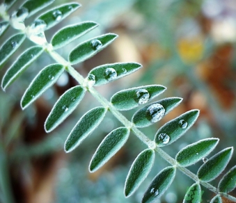 寒露穿什么衣服？寒露要注意什么？