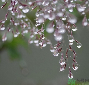 寒露穿什么衣服？寒露要注意什么？