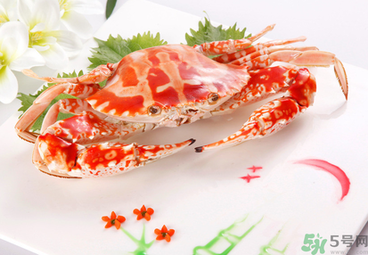 梭子蟹和花蟹的區(qū)別？梭子蟹和花蟹哪個(gè)好吃？