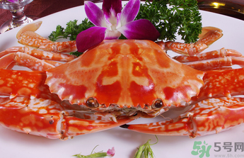 梭子蟹和花蟹的區(qū)別？梭子蟹和花蟹哪個(gè)好吃？