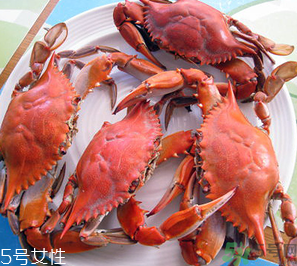 梭子蟹和飛蟹的區(qū)別？飛蟹是梭子蟹嗎？