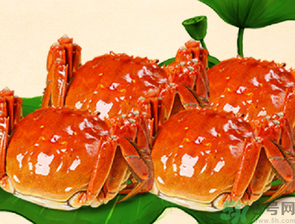 梭子蟹和大閘蟹的區(qū)別？梭子蟹和大閘蟹哪個好？