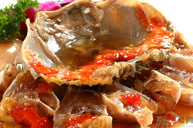 膏蟹是河蟹還是海蟹？膏蟹是什么蟹？