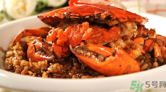 膏蟹是河蟹還是海蟹？膏蟹是什么蟹？