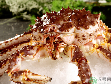 帝王蟹多少錢一斤？帝王蟹多少錢一只？