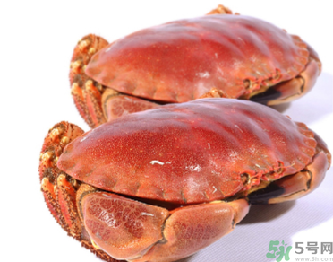 面包蟹多少錢一斤？面包蟹多少錢一只？