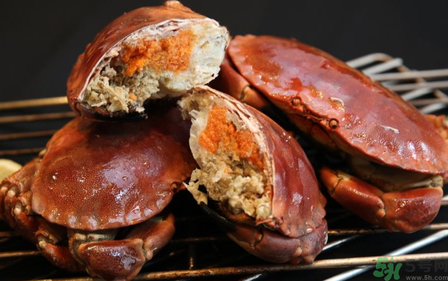 面包蟹多少錢一斤？面包蟹多少錢一只？